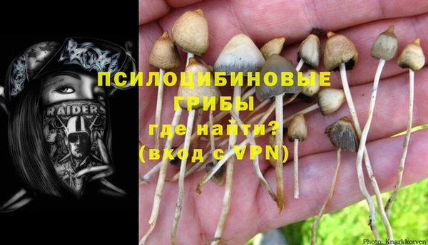 стаф Киреевск