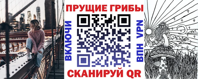 Псилоцибиновые грибы Psilocybine cubensis  Купить где  Горячий Ключ 